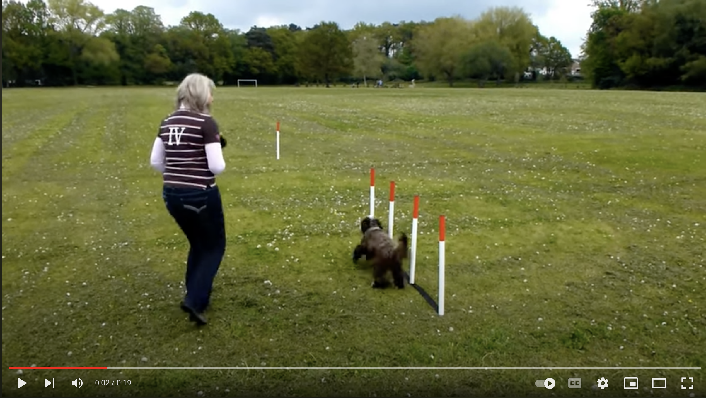 Screenshot 2023-03-07 at 20.45.32